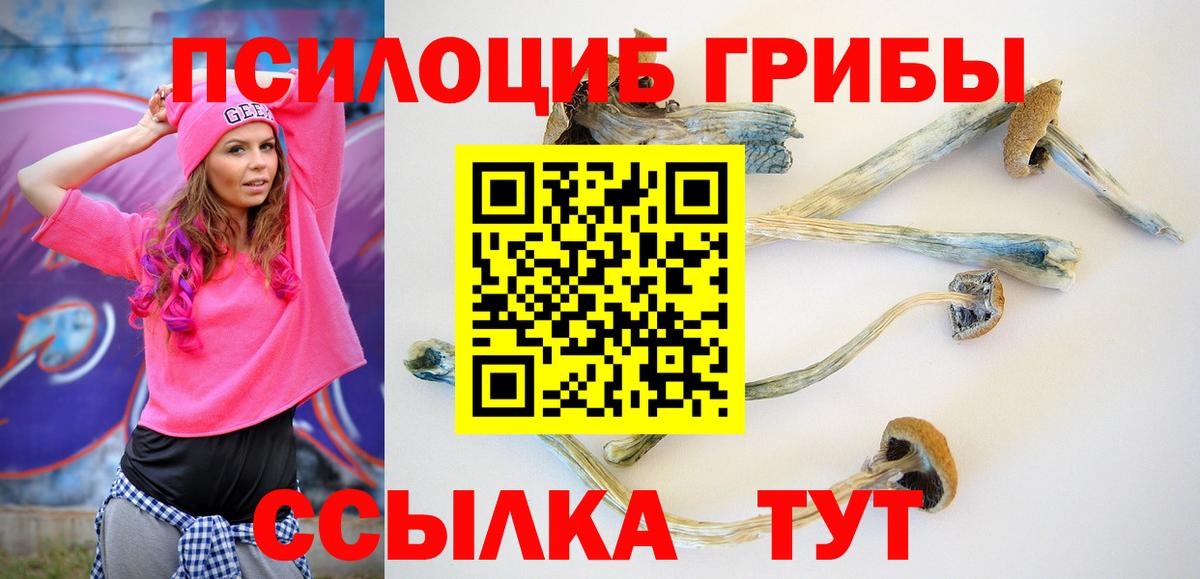 Псилоцибиновые грибы Psilocybine cubensis Коломна